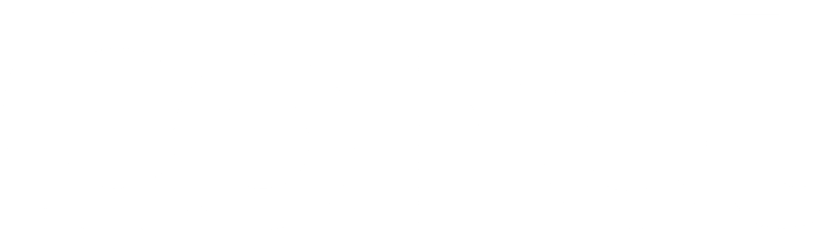 Logo Conet white