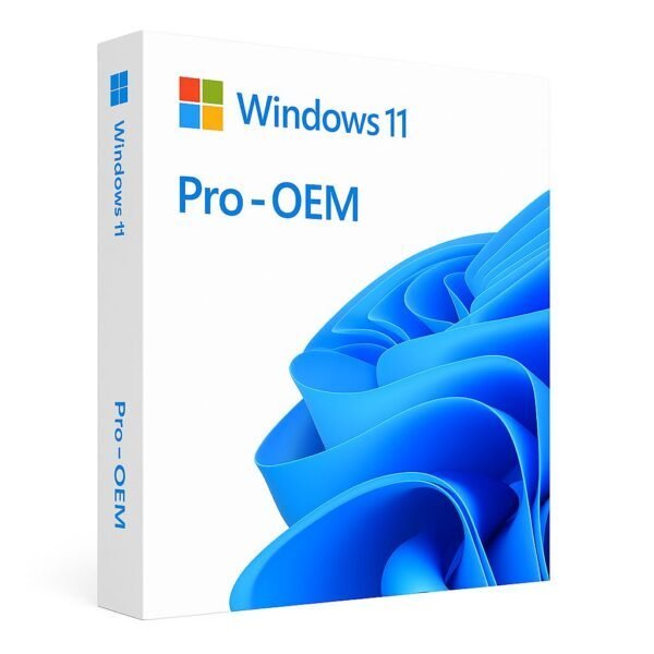 Licence Microsoft Windows 11 Professionnel OEM